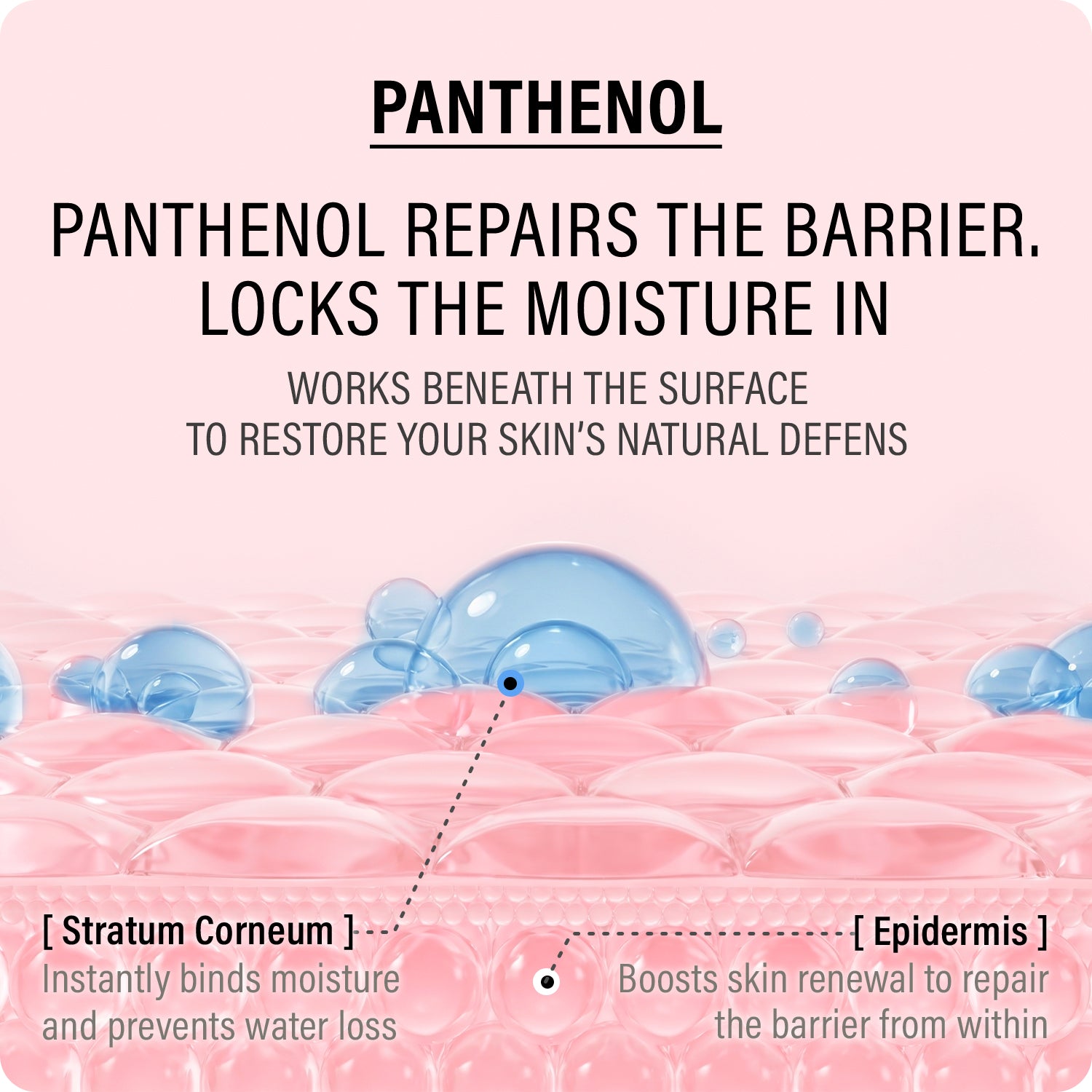 Double Up Cream - Ectoin & Panthenol