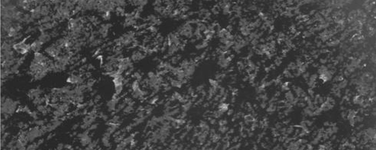 Skin density — after