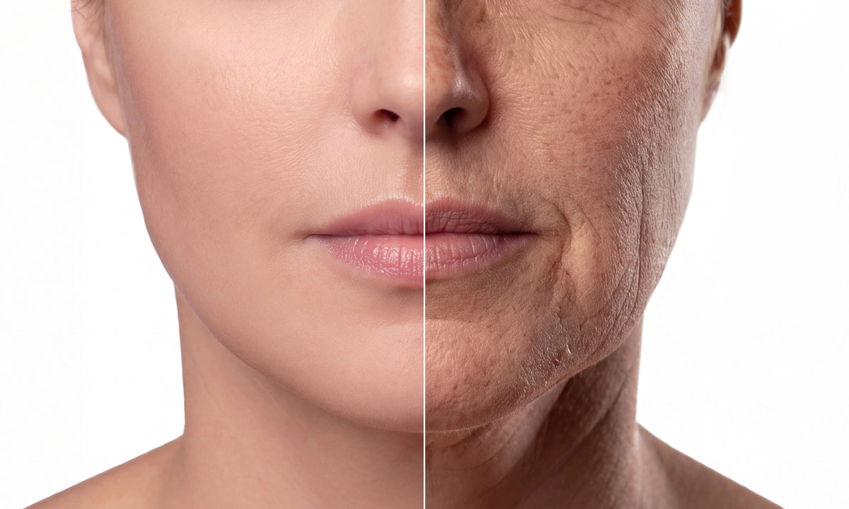 Skin in your twenties compared with skin in your fifties
